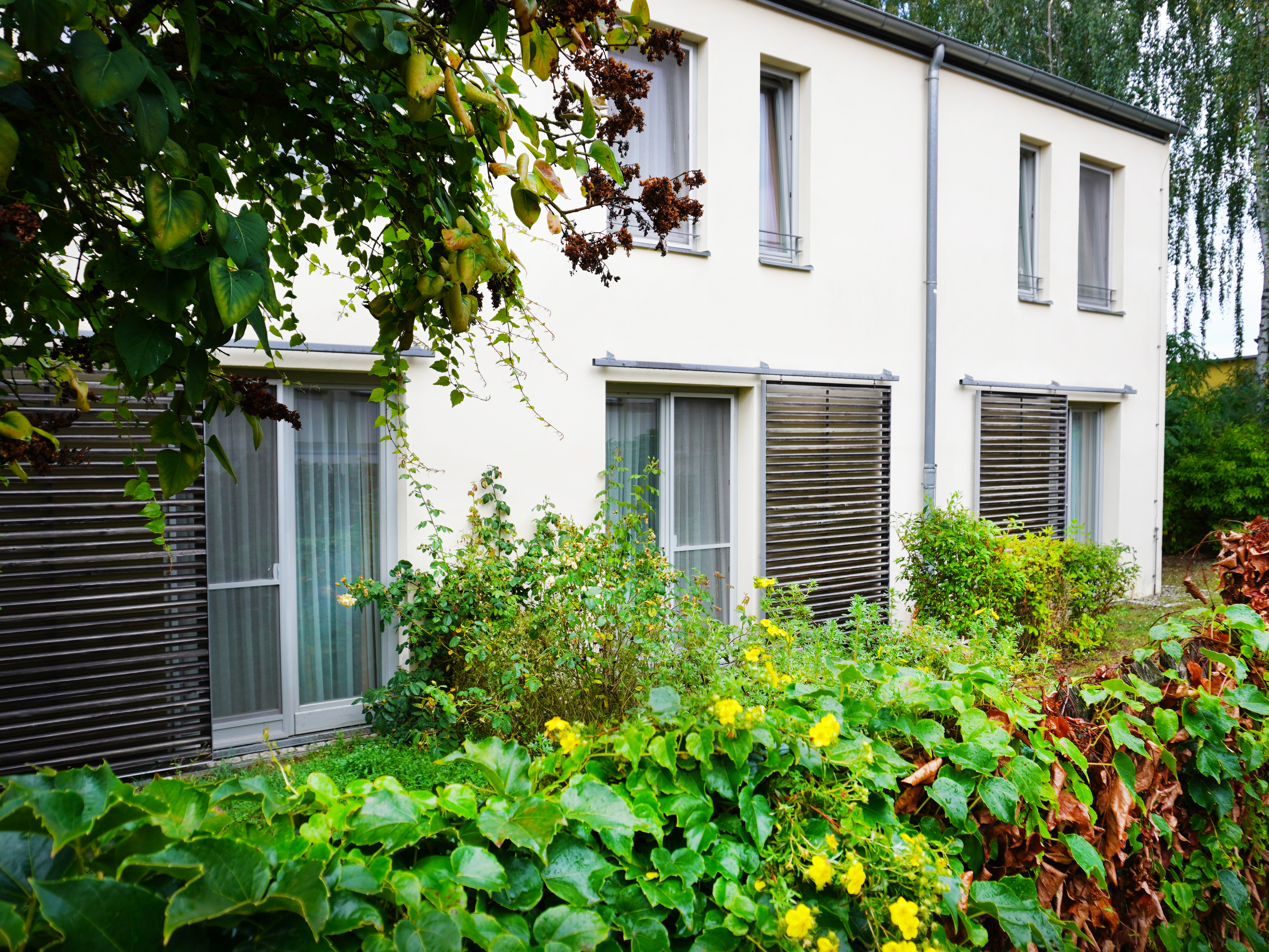 Bild Haus Jüdenstraße 2.jpg Bild Haus Jüdenstraße 5.jpg