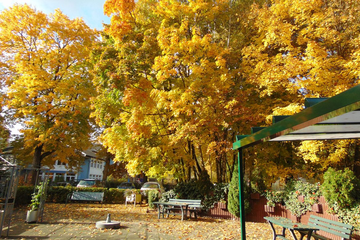 Garten_bearbeitet_klein.jpg